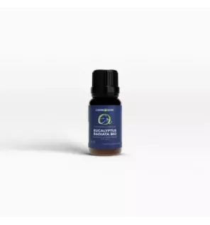 Huile Essentielle EUCALYPTUS RADIATA BIO 30ml