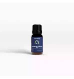 Huile Essentielle LAVANDIN GROSSO BIO 30ml