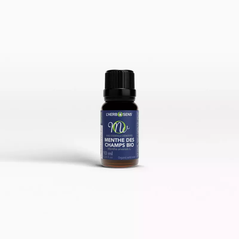 Huile Essentielle MENTHE DES CHAMPS BIO 10ml