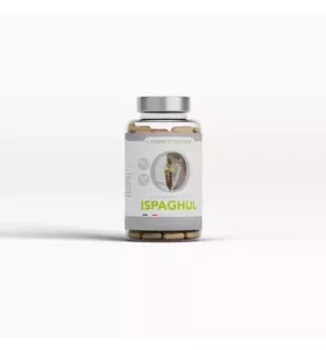 Gélules ISPAGHUL 300mg