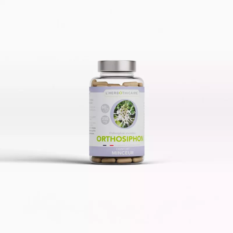 Gélules ORTHOSIPHON 250mg